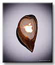 логотип Apple на зёрнышке яблока